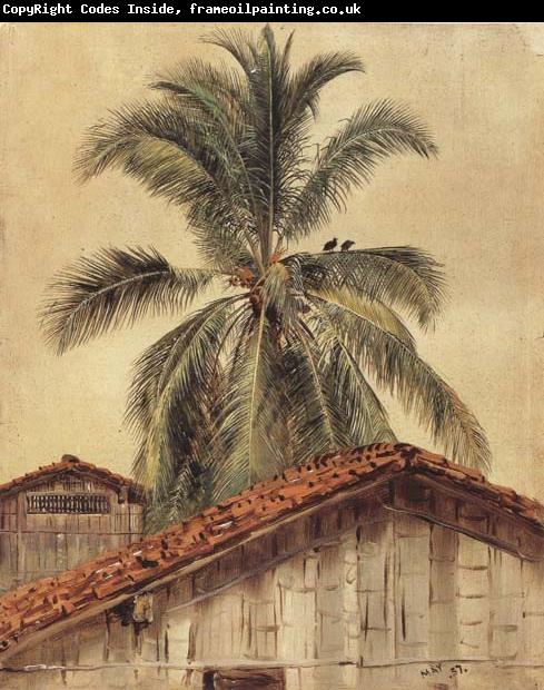 Frederic E.Church Palm Tres and Housetops,Ecuador